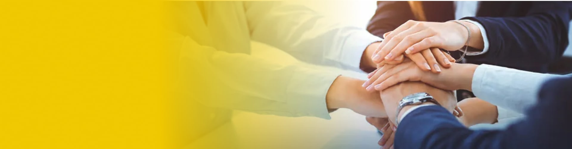 乐鱼电子智能科技丨AI+3D相机和机器视觉科技公司